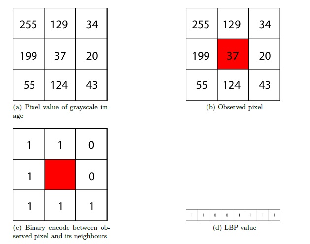 grep binary file matches