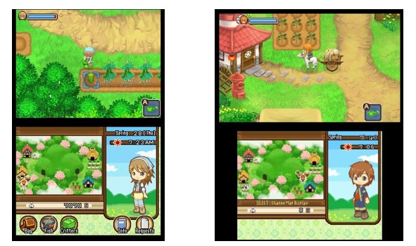 harvest moon ds the tale of two towns