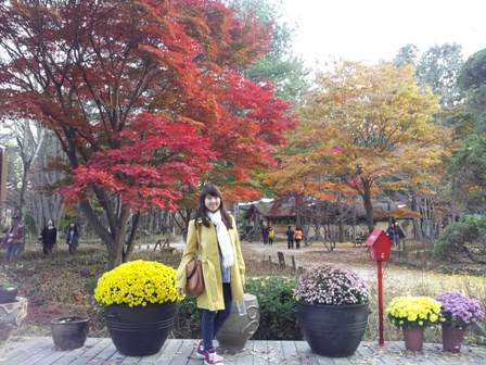 Fall season in Nami Island